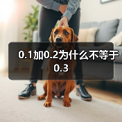 0.1加0.2为什么不等于0.3（图3）