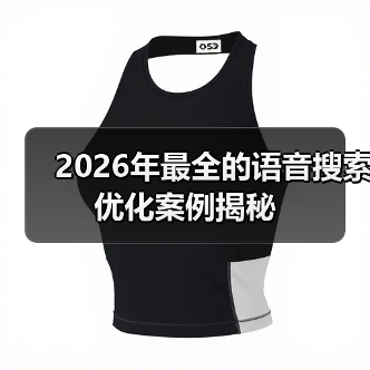 2026年最全的语音搜索优化案例揭秘