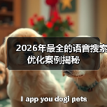 2026年最全的语音搜索优化案例揭秘（图2）