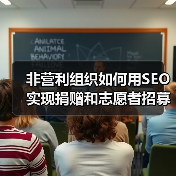非营利组织如何用SEO实现捐赠和志愿者招募的极大突破（图3）