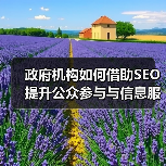 政府机构如何借助SEO提升公众参与与信息服务效率