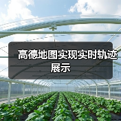 高德地图实现实时轨迹展示（图2）