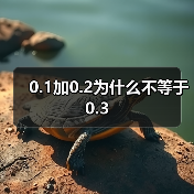 0.1加0.2为什么不等于0.3（图2）