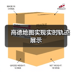 高德地图实现实时轨迹展示（图3）