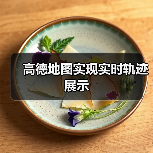 高德地图实现实时轨迹展示（图4）