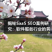 揭秘SaaS SEO案例研究：软件服务行业的黄金攻略（图2）