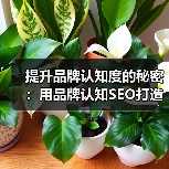 提升品牌认知度的秘密：用品牌认知SEO打造搜索可见性（图4）
