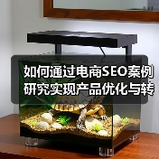如何通过电商SEO案例研究实现产品优化与转化提升（图3）