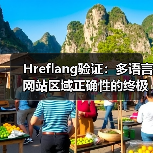 Hreflang验证：多语言网站区域正确性的终极指南（图2）