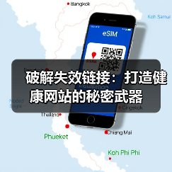 破解失效链接：打造健康网站的秘密武器（图4）