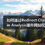 如何通过Redirect Chain Analysis提升网站权重与跳转优化效率（图4）