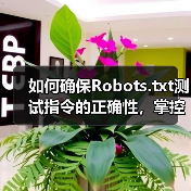 如何确保Robots.txt测试指令的正确性，掌控爬虫行为（图2）