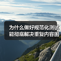 为什么做好规范化测试能彻底解决重复内容困扰？揭秘权威页面背后的秘密（图4）