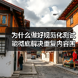 为什么做好规范化测试能彻底解决重复内容困扰？揭秘权威页面背后的秘密