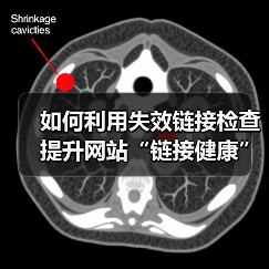 如何利用失效链接检查提升网站“链接健康”与用户引导效果（图2）