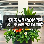 提升网站性能的秘密武器：页面速度测试与改进指南（图2）