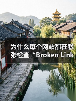 为什么每个网站都在紧张检查“Broken Link Checking 失效链接检查”？事实上，失效链接已经由潜在的隐形坑变成了站点用户体验和SEO的死穴！即使你（图3）