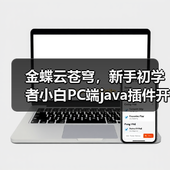 金蝶云苍穹，新手初学者小白PC端java插件开发教学示例（图3）