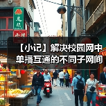 【小记】解决校园网中单播互通的不同子网间的 LocalSend 发现问题（图2）